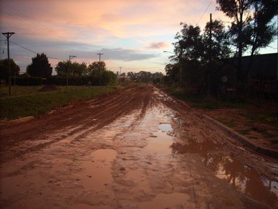calle61