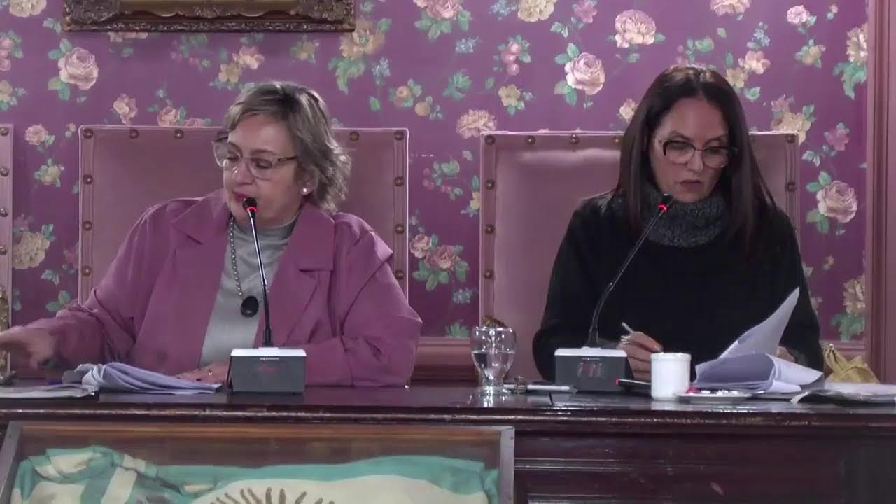 Sesion Ordinaria HCD de Mercedes