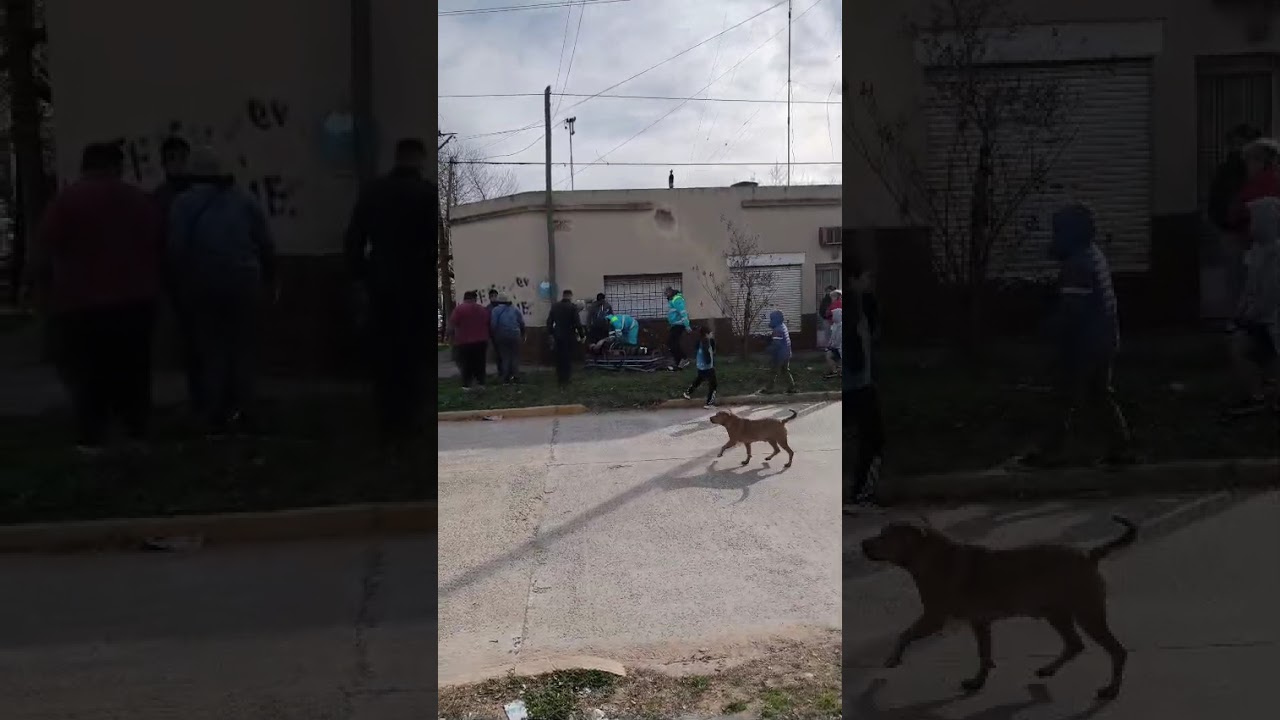 Siniestro vial 14  y 29