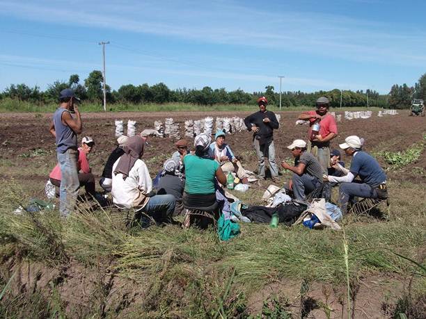 AFIP-Inspección-CampoBatata-001