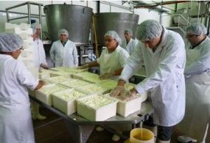 UNLu - Planta Piloto