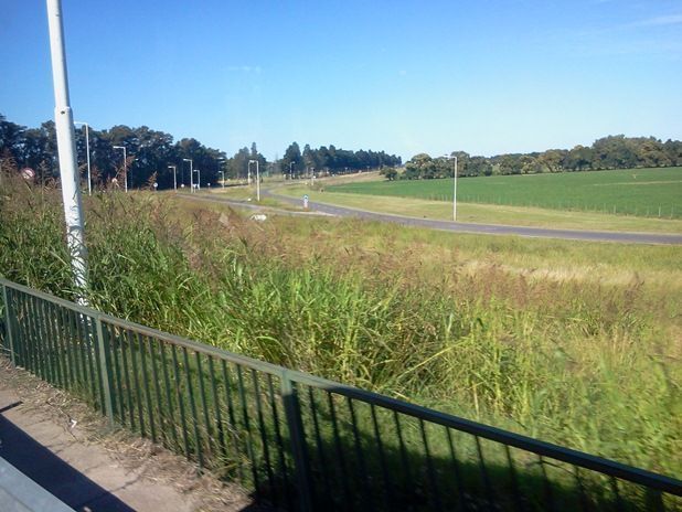 RutaN5-PastoyAbandono