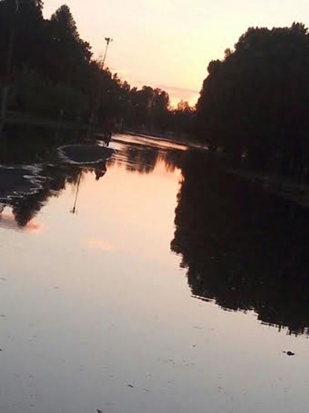 Parque.crecido.11.2013-II