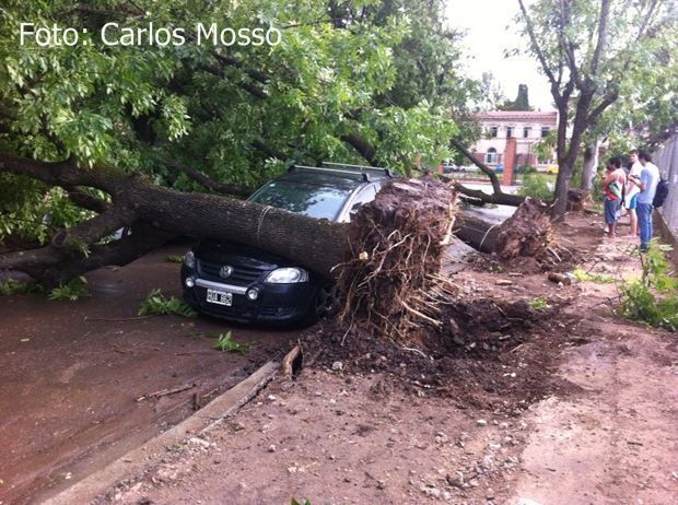 mercedes-temporal-02.12.2013-II