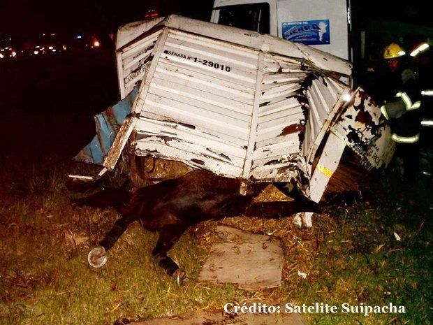 Accidente-ruta5.11.03.2014.3