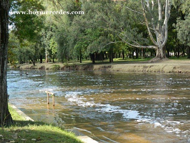 riolujan-19.03.2014-II