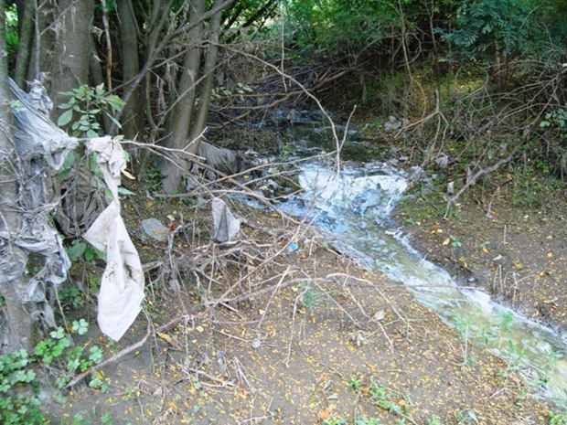 Cloaca-Mercedes-SOSHabitat