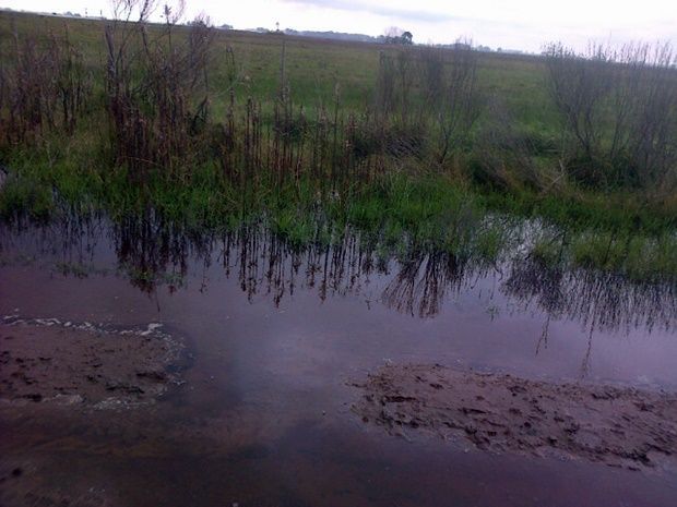 CaminosRurales-Mercedes-II