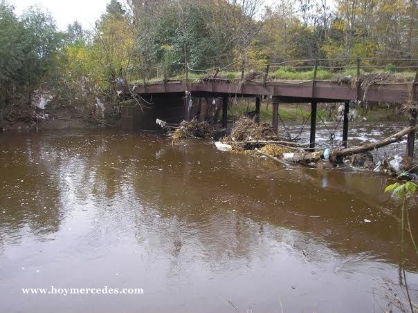 PuenteCañon-2014-IV