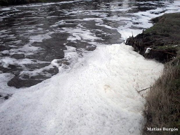 espumario20.05.2014-II