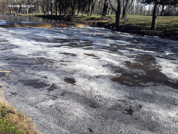 espumario29.05.2014-II