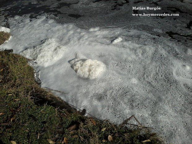 espumario.02.06.2014-II