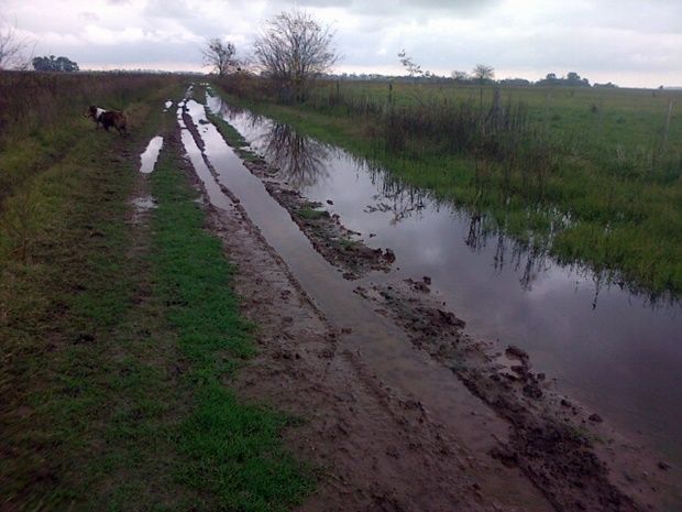 CaminosRurales-Mercedes-III