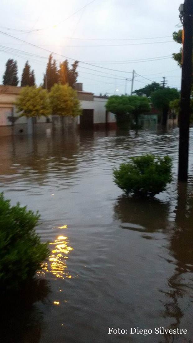 50y70-DiegoSilvestre