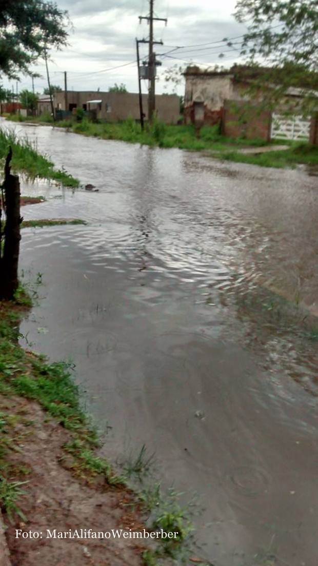 Mari Alifano Weimberger-61 bis 2 y 4