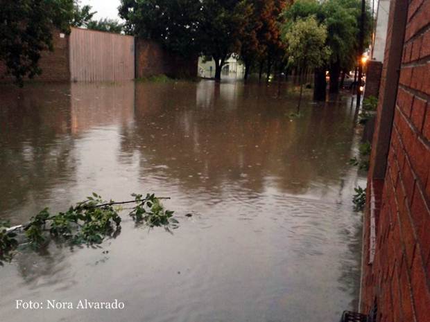 NoraAlvarado-SanAntonio-II