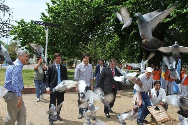 devido-mercedes-2014