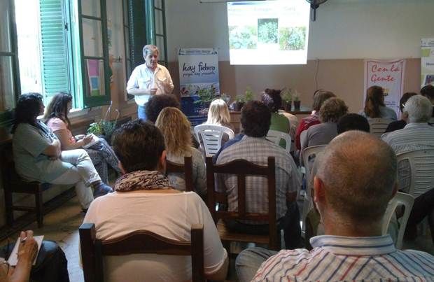 plantas aromáticas 3