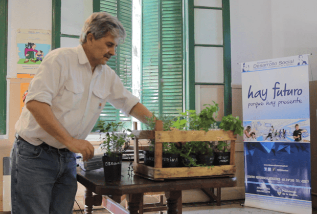 taller de plantas aromáticas 2