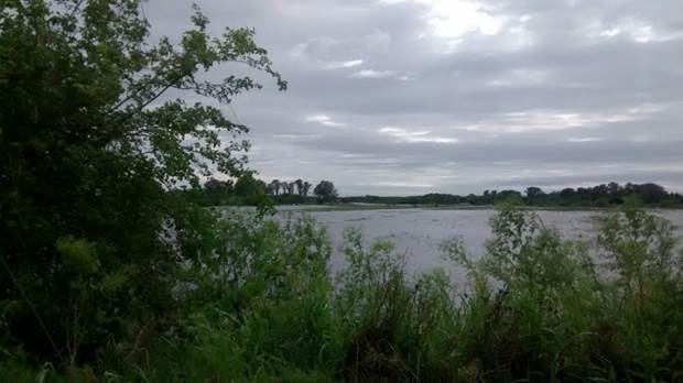 2-Sanjacinto-unundacion-01-11-2014