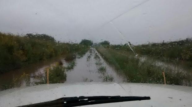 Frankling.03.11.2014-1