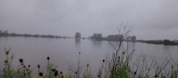 Frankling.03.11.2014-5