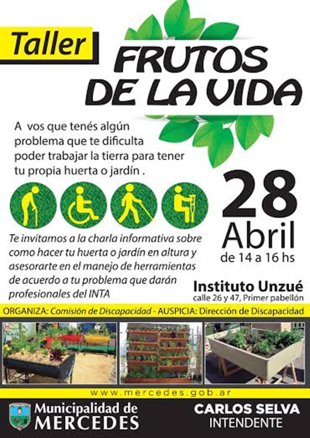 Taller Frutos de la Vida