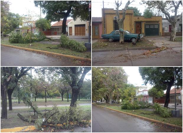 ramascaidas.mercedes