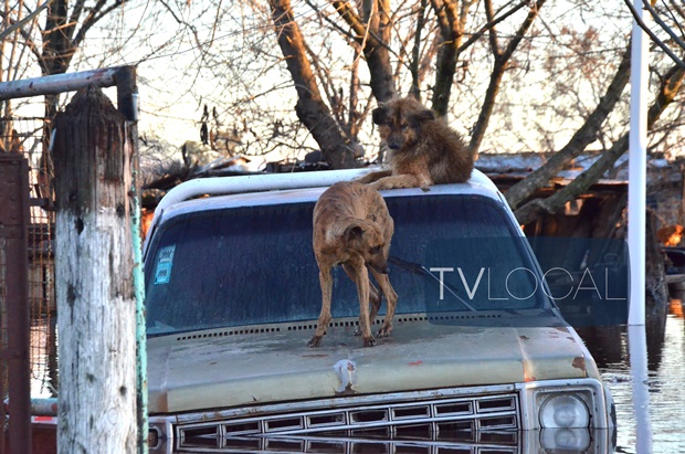 620-nundacion-11.08.15011