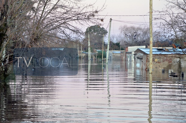 620-nundacion-11.08.15017