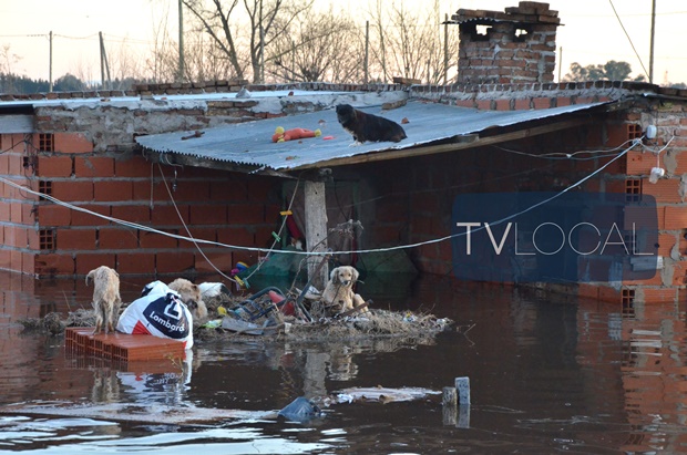 620-nundacion-11.08.15018