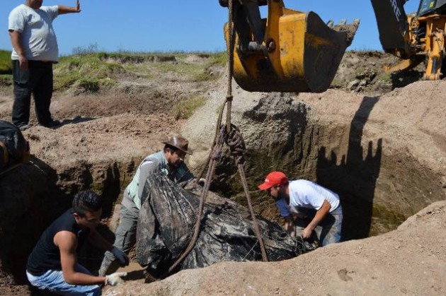 cultura gliptodonte 2