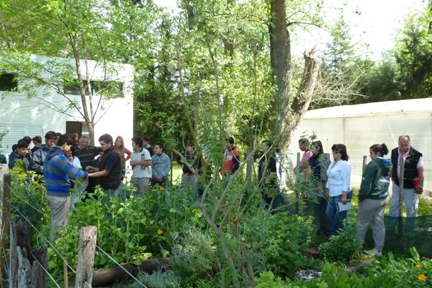 21-senasa-agrotecnica-2