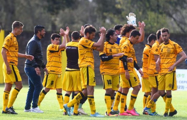 flandria-brown-23
