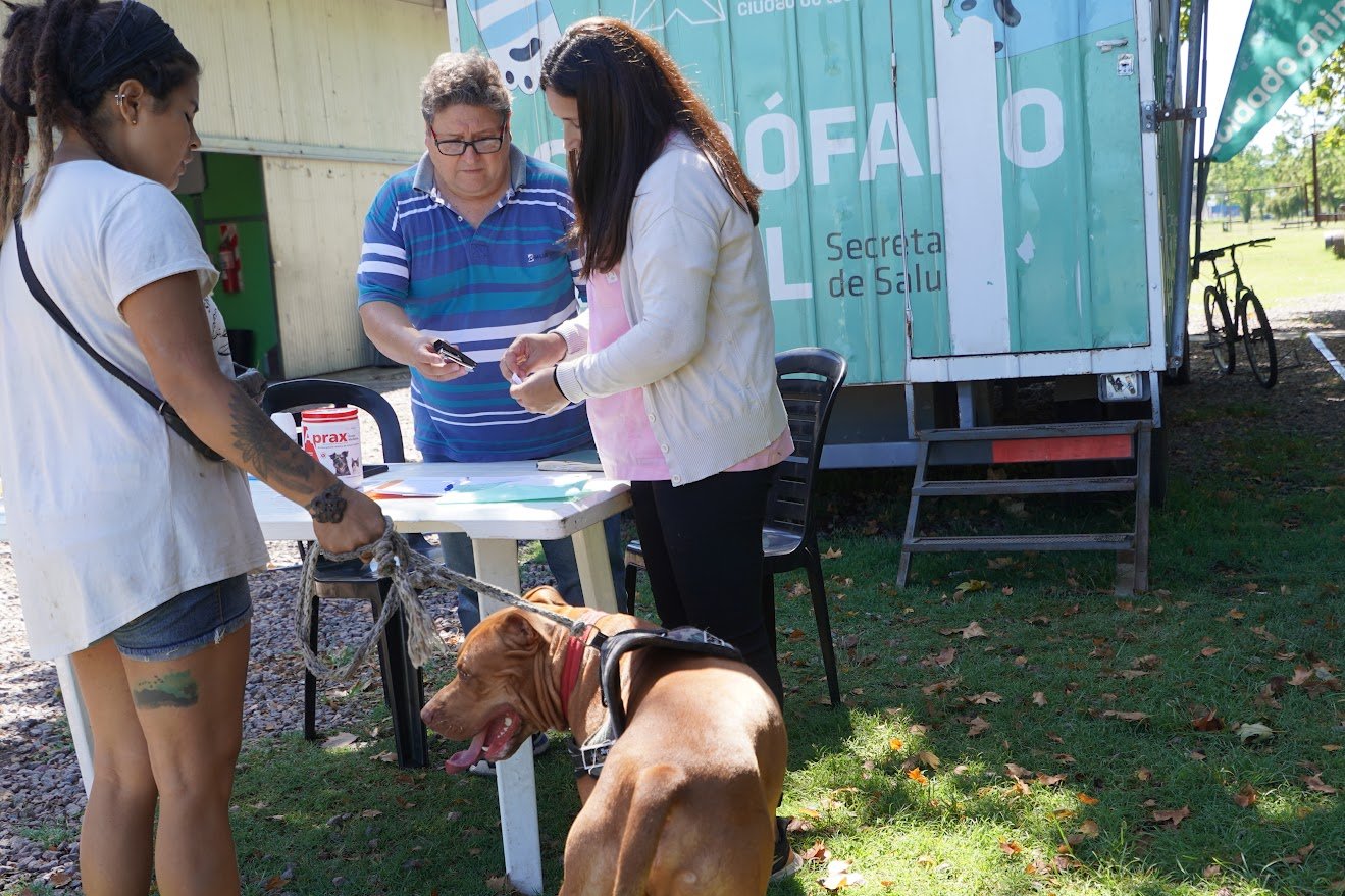 Castración animal en Mercedes