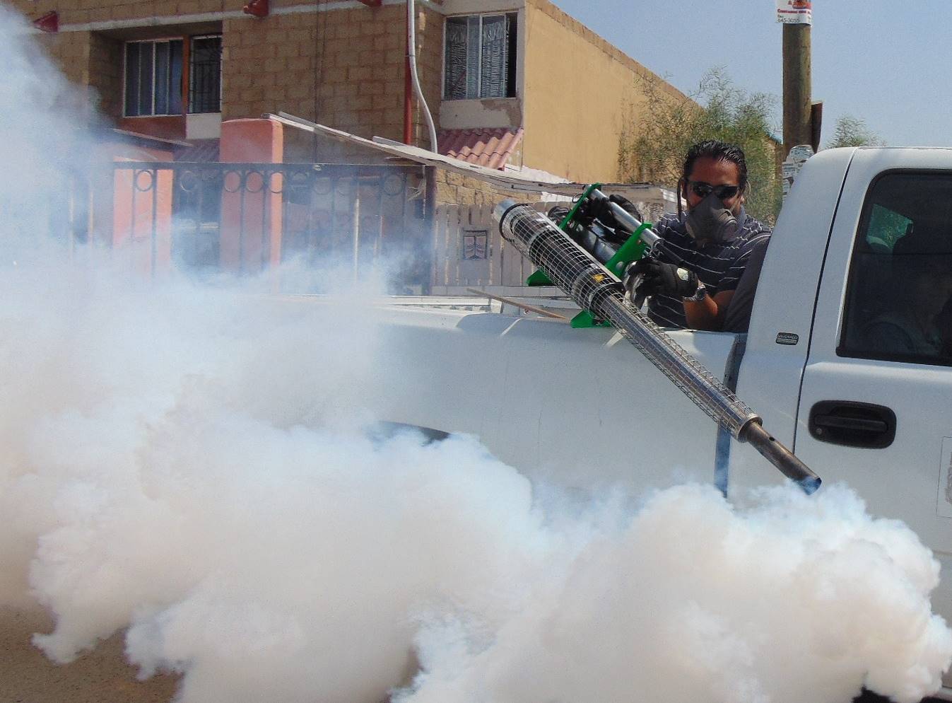 Fumigación Mercedes