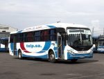 Transporte Automotores La Plata