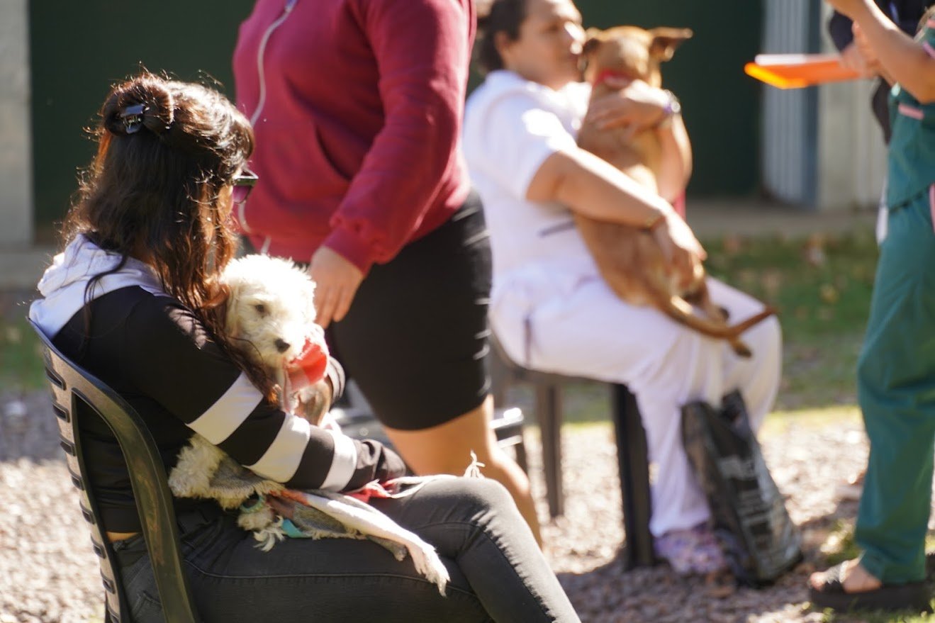 Cuidado de las mascotas