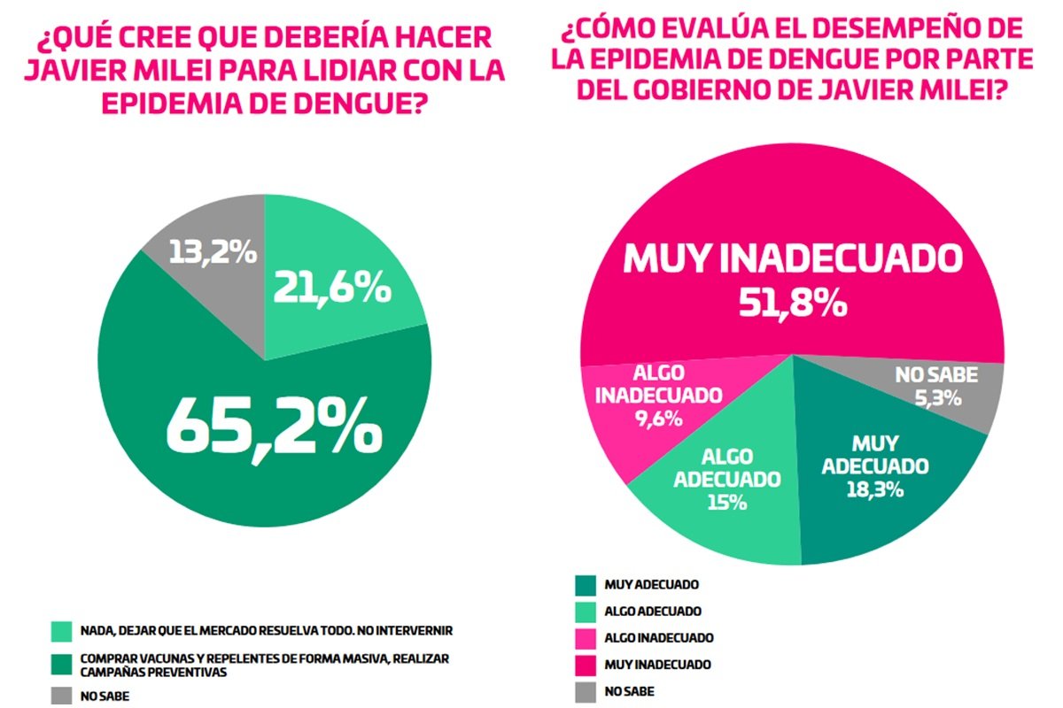 65.2% de los argentinos cree que el gobierno debe comprar vacunas contra el dengue