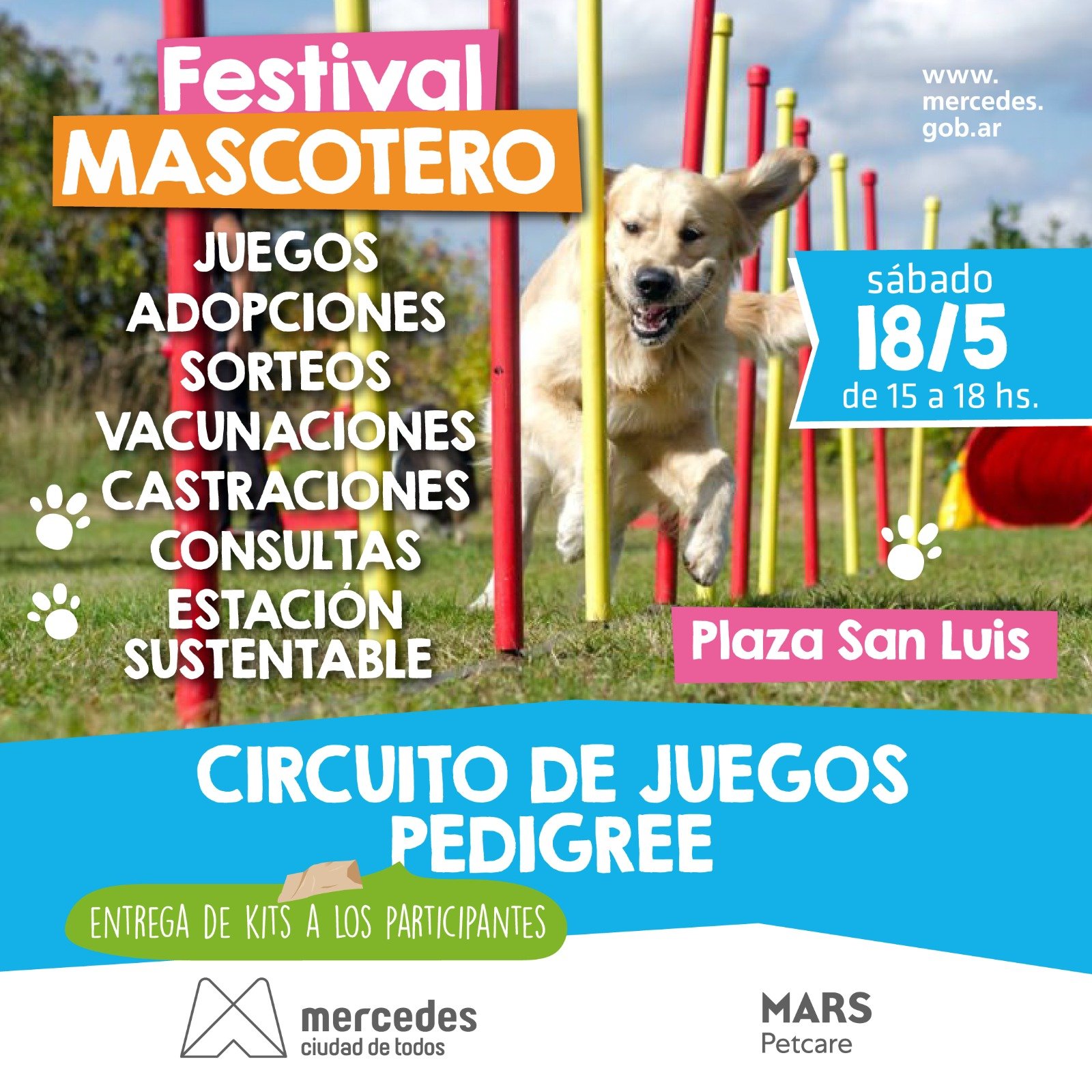 Sábado de Festival Mascotero: buen vivir, zoonosis, entretenimientos, regalos y más
