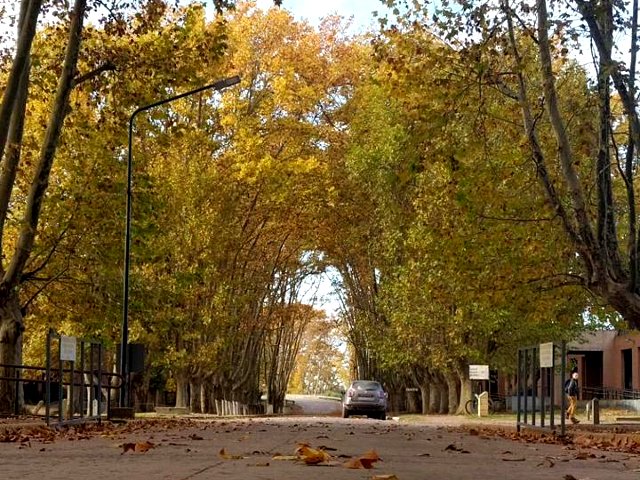 Alta adhesión al paro universitario en UNLu