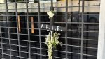 Comunicado: "Basta de Violencia" expresan desde A.E.F.I.P