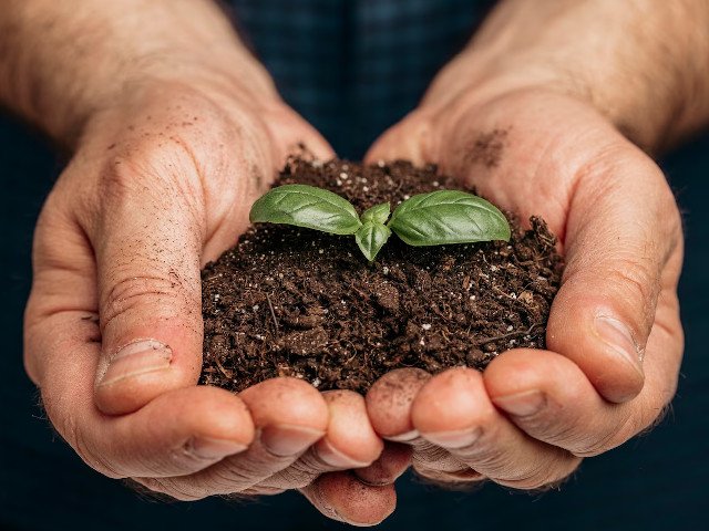 UNLu: 8 y 9 de noviembre: Primer Congreso Provincial de Agroecología