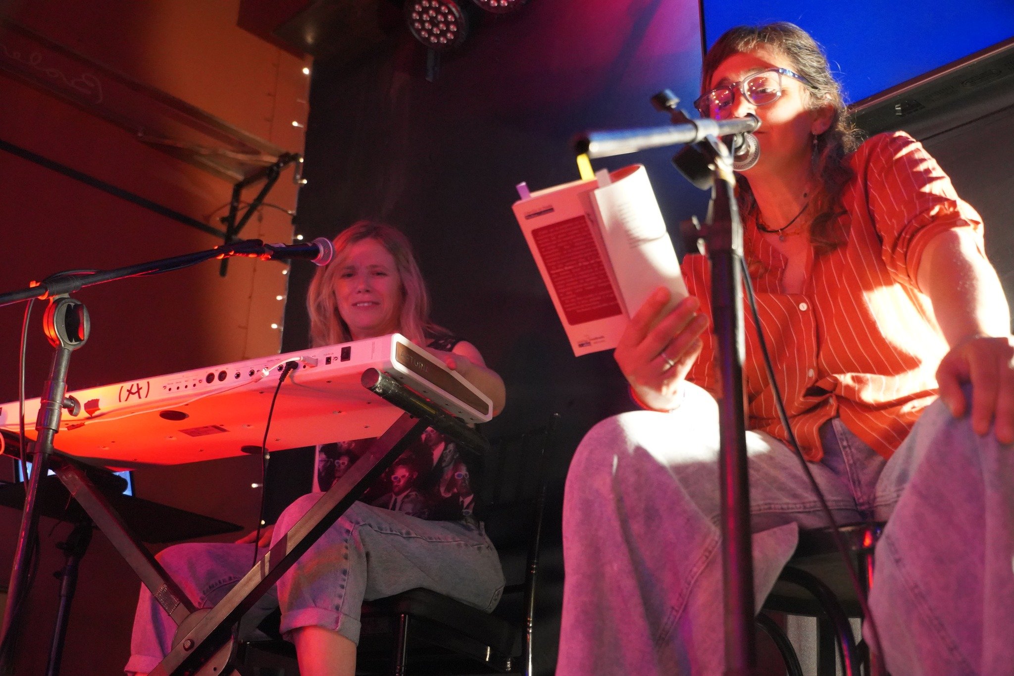 Se realizó la 2° edición del Ciclo Alfonsina