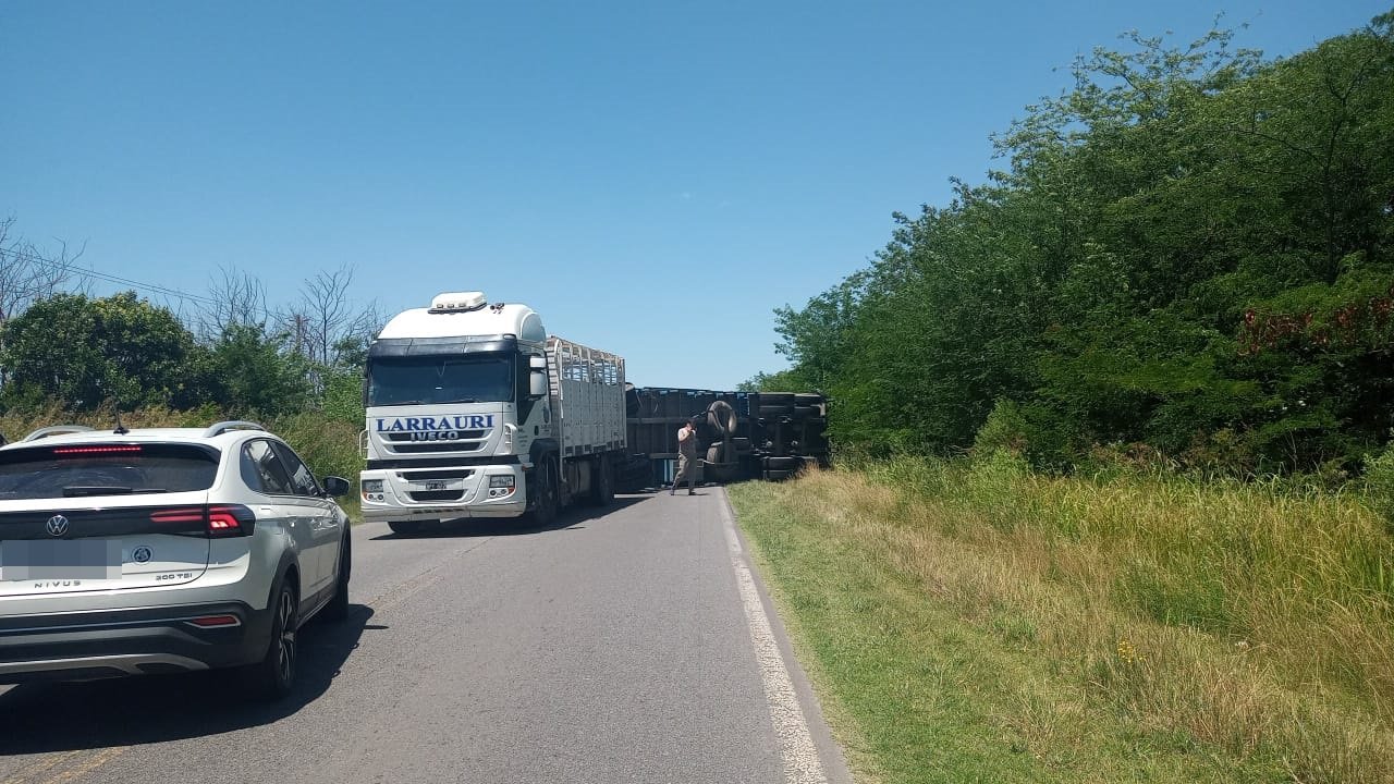 Volcó camión en ruta n°41 con vacas