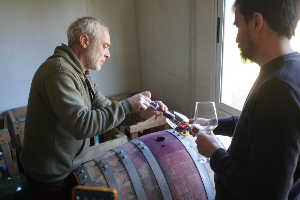 Turismo y reconocimiento: tres viñedos de Mercedes ingresan al catálogo "Vinos Buenos Aires"