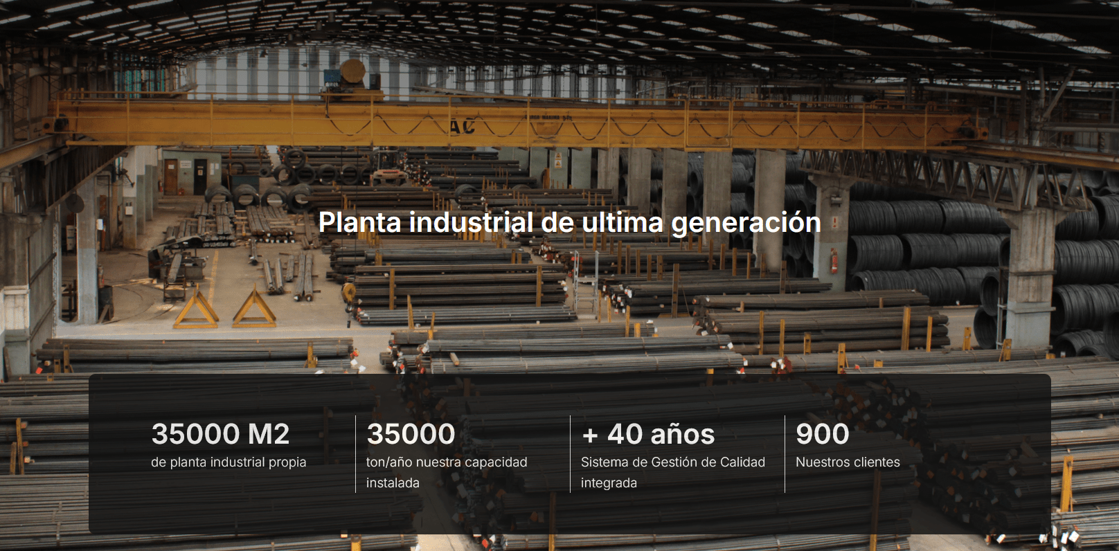 Borroni: 8 trabajadores fueron despedidos