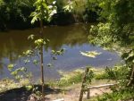 Invitan a colaborar con el Sistema de Información Ambiental Integrada de Luján