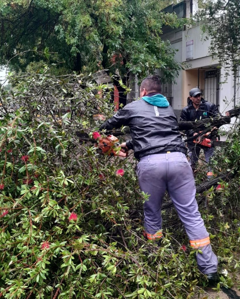 Trabajadores municipales durante la tormentaTrabajadores municipales durante la tormenta