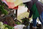 Mercado en tu barrio llega a La Trocha